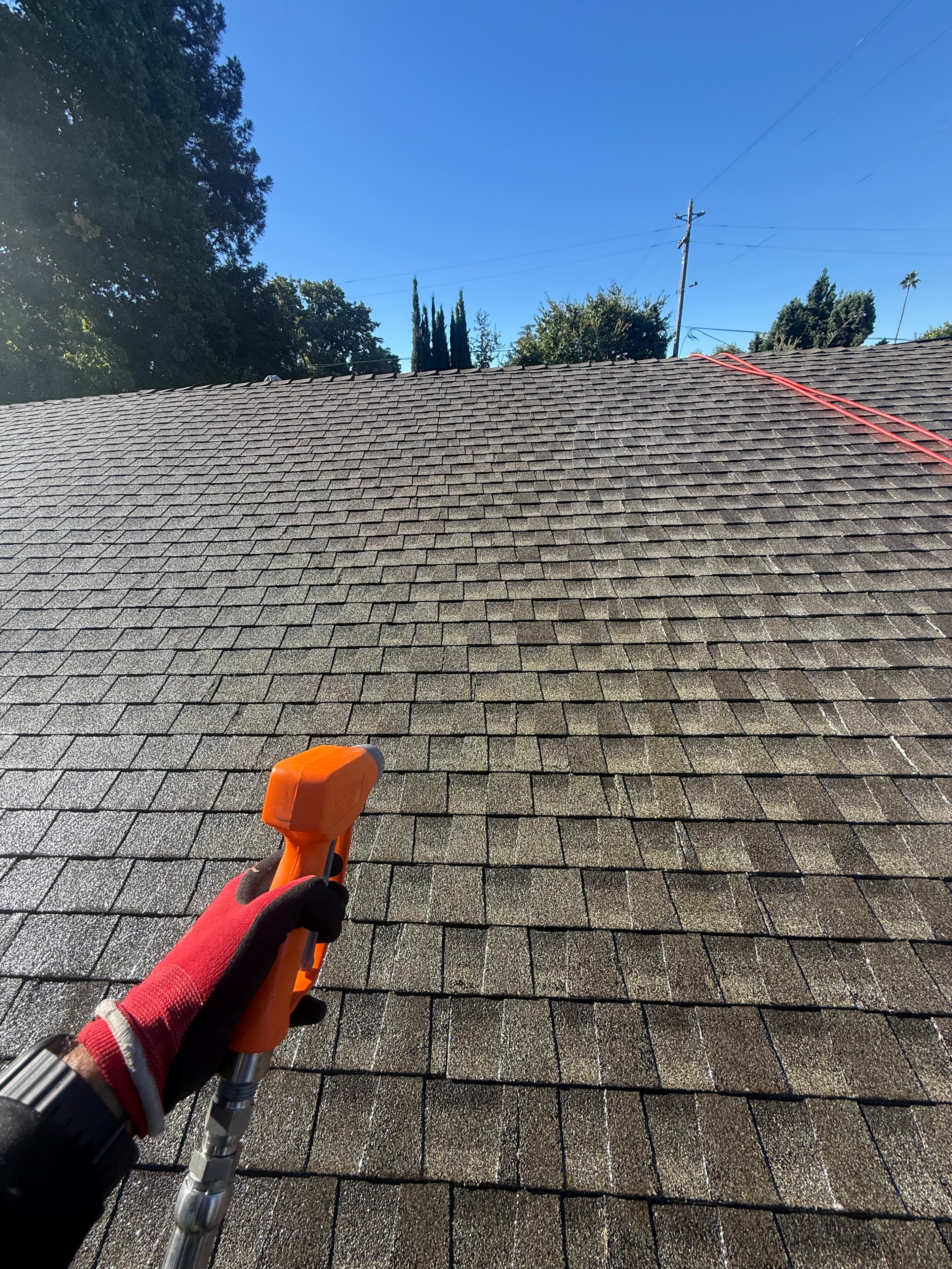 Roof softwashing in progress with a low-pressure cleaning tool