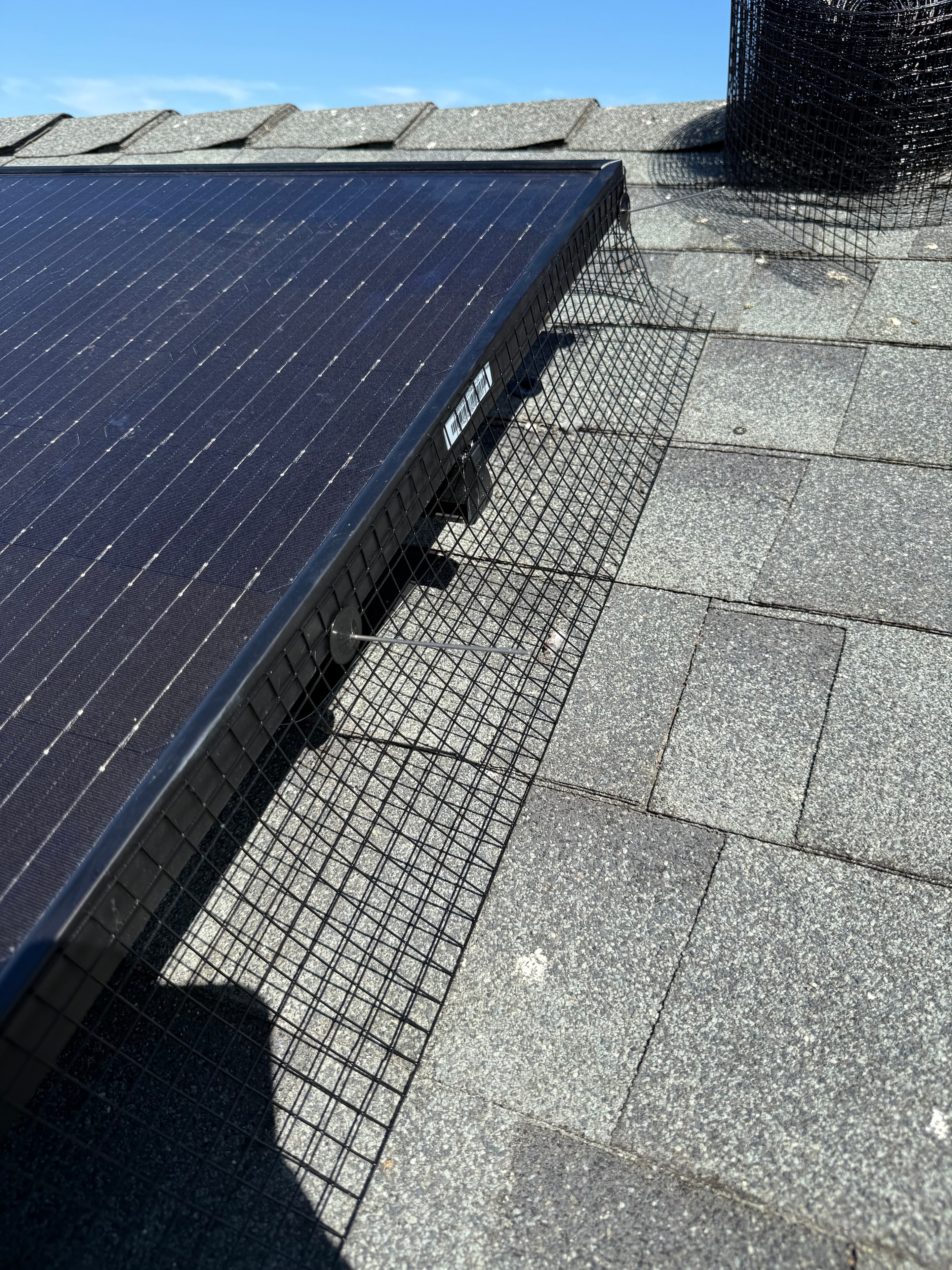 Solar panel protected with bird-caging mesh